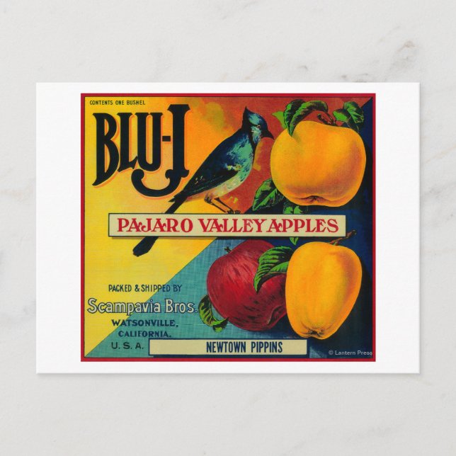 Blu-J Apple Crate LabelWatsonville, CA Postkarte (Vorderseite)