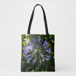 Blue Agapanthus Blume