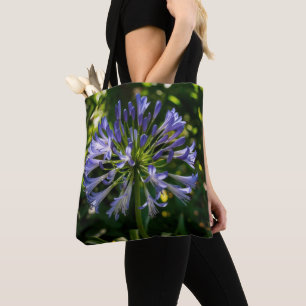 Blue Agapanthus Blume