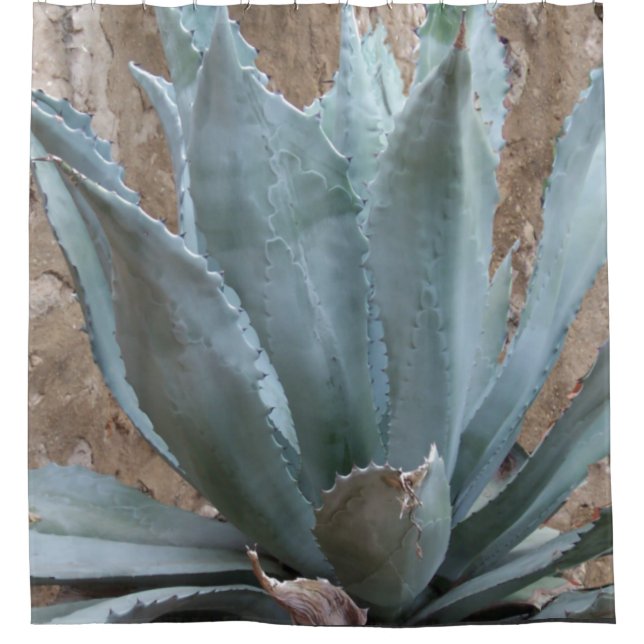 Blue Agave Pflanze Duschvorhang (Vorderseite)