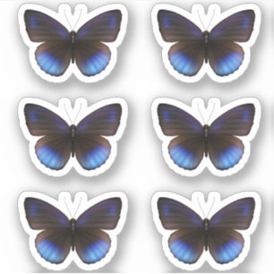 Blue and Black Butterfly Sticker Pack Hochzeit