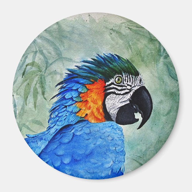 Blue and Gold Macaw Magnet (Vorne)