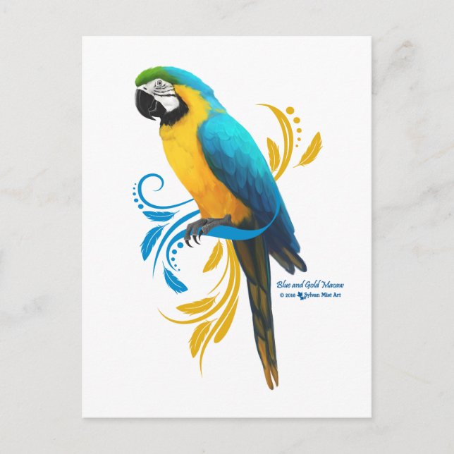 Blue and Gold Macaw Postcard Postkarte (Vorderseite)