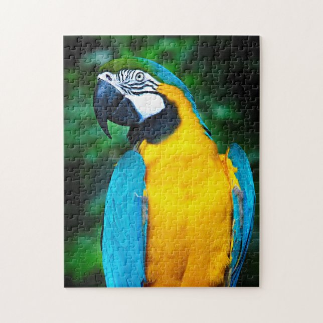 Blue and Gold Macaw Puzzle (Vertikal)