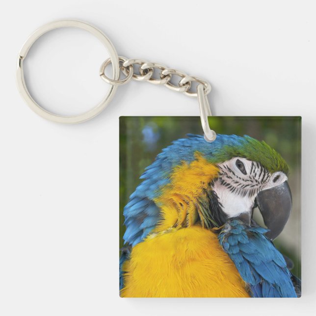 Blue And Gold Parrot Schlüsselanhänger (Vorderseite)