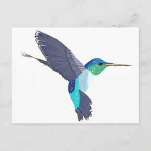 Blue and Green Humming Bird Postkarte