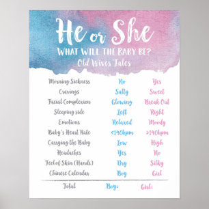 Blue and Pink He or She Old Wives Tale Sign Poster