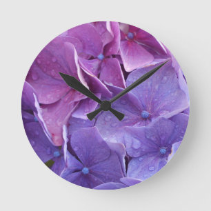 Blue and pink hortensia close up runde wanduhr
