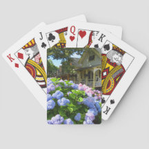 Blue and Pink Hydrangeas - Martha's Vineyard