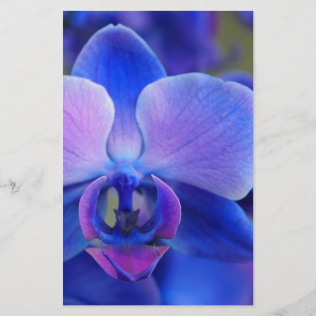 Blue and Pink Orchid Briefpapier (Vorderseite)