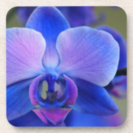 Blue and Pink Orchid Untersetzer