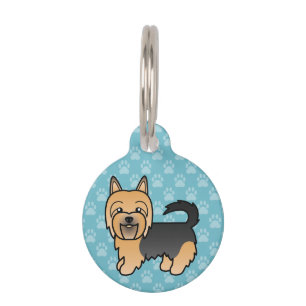 Blue and Tan Australian Terrier Dog on Blue Tiermarke