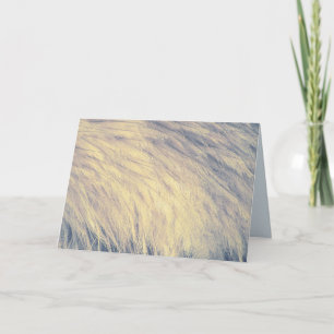 Blue and White Emu Feathcard Karte