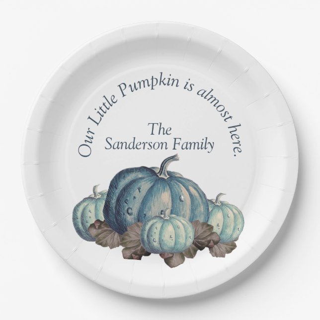Blue and White Pumpkin Baby Dusche Pappteller (Vorderseite)