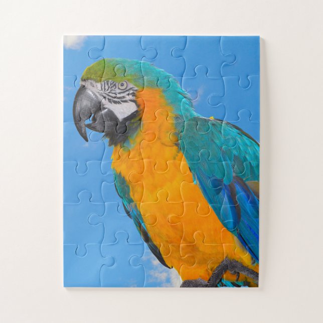 Blue and yellow macaw puzzle (Vertikal)