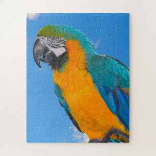 Blue and yellow macaw puzzle