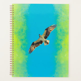 Blue and yellow planer