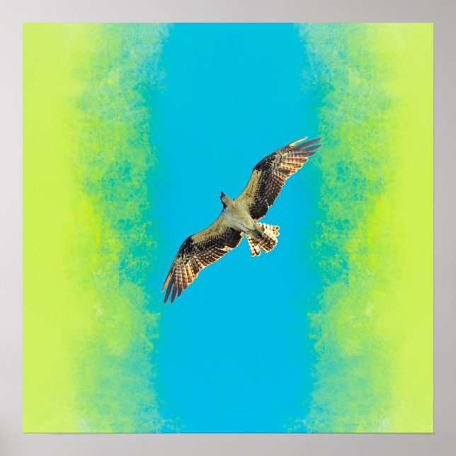 Blue and yellow poster (Vorne)