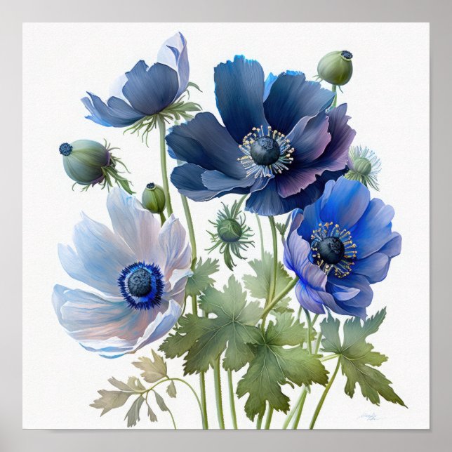 Blue Anemone Blume Art Print Poster (Vorne)