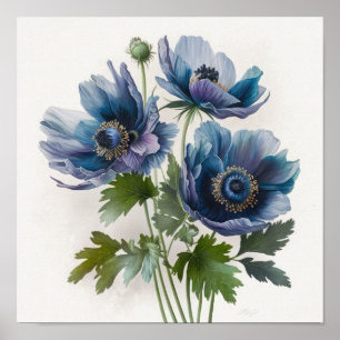 Blue Anemone Blume Art Print Poster