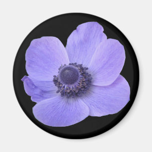 Blue Anemone Blume Magnet