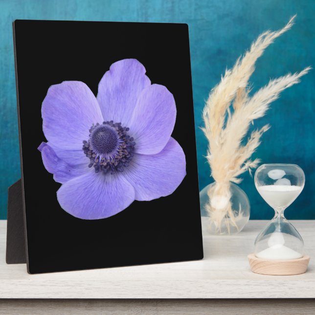 Blue Anemone Plaque Fotoplatte (Seite)