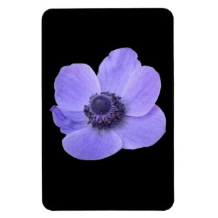 Blue Anemone Premium Magnet