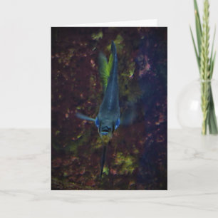 "Blue Angelfish" Get Well Card Karte
