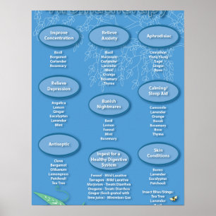 Blue Aromatherapy Chart Poster