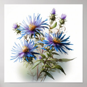 Blue Aster Blumen Art Print Poster