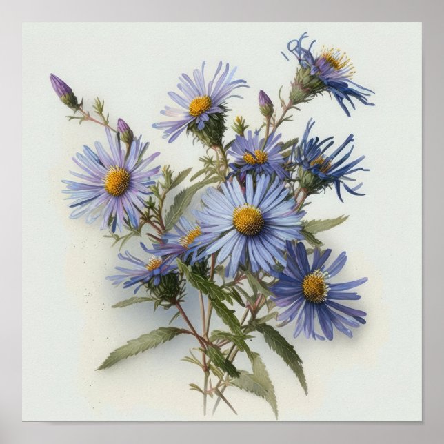Blue Aster Blumen Art Print Poster (Vorne)