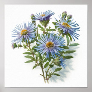 Blue Aster Blumen Art Print Poster