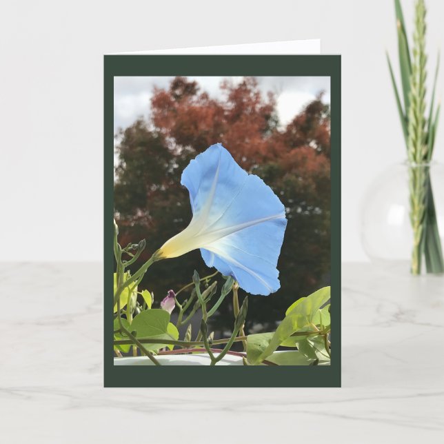 Blue Autumn Morning Glory Blank Karte (Vorderseite)