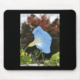 Blue Autumn Morning Glory Mousepad