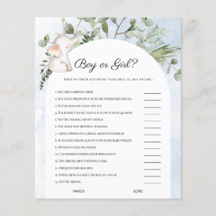 Blue Baby Shower Game