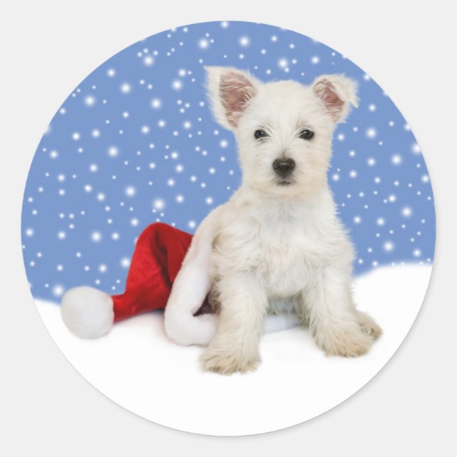 Blue Background lässt es Aufkleber erahnen (Vorderseite)