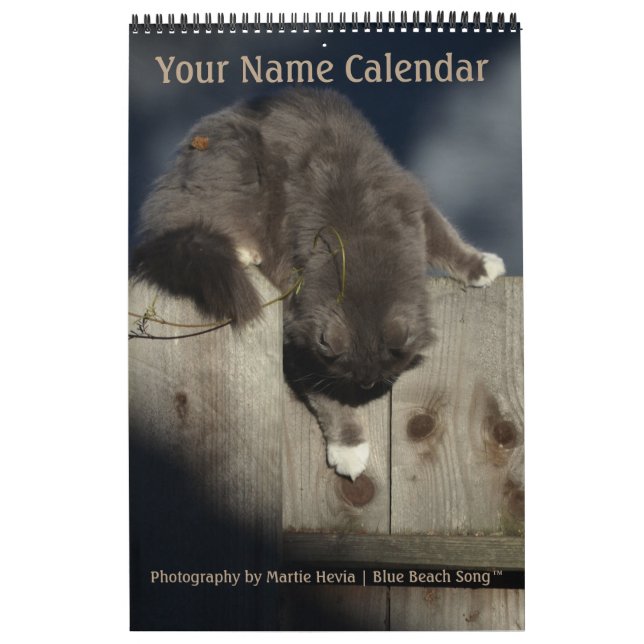 Blue Beach Song™ Fotografie Kalender (Titelbild)