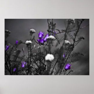 Blue Bells Mugshot Print Poster