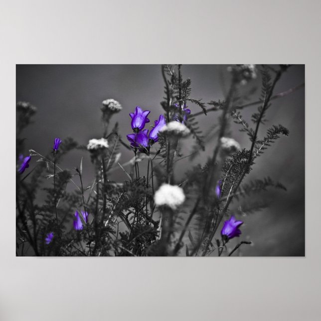 Blue Bells Mugshot Print Poster (Vorne)