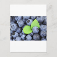 Blue Berries Fruit Peace Liebe Destination Party A