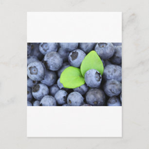 Blue Berries Fruit Peace Liebe Destination Party A Postkarte