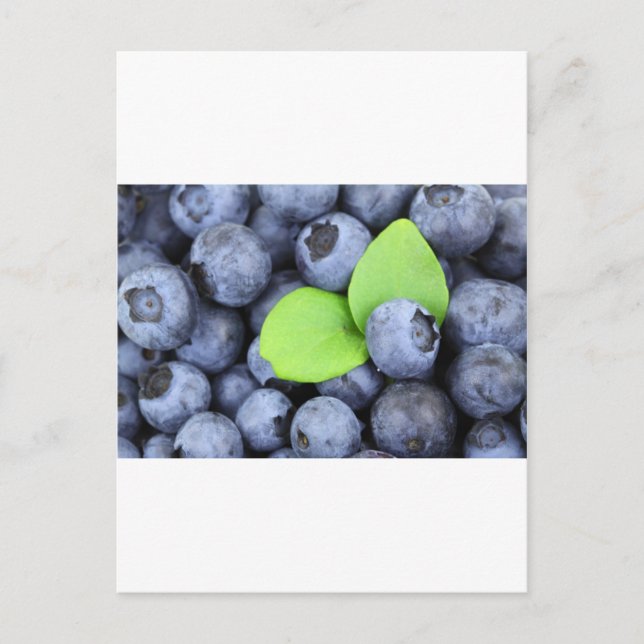 Blue Berries Fruit Peace Liebe Destination Party A Postkarte (Vorderseite)