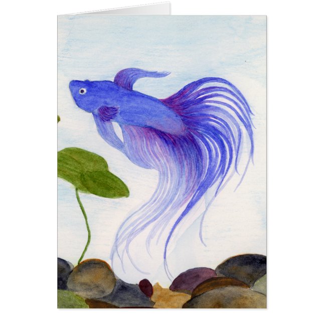 Blue Betta Fish (Vorne)