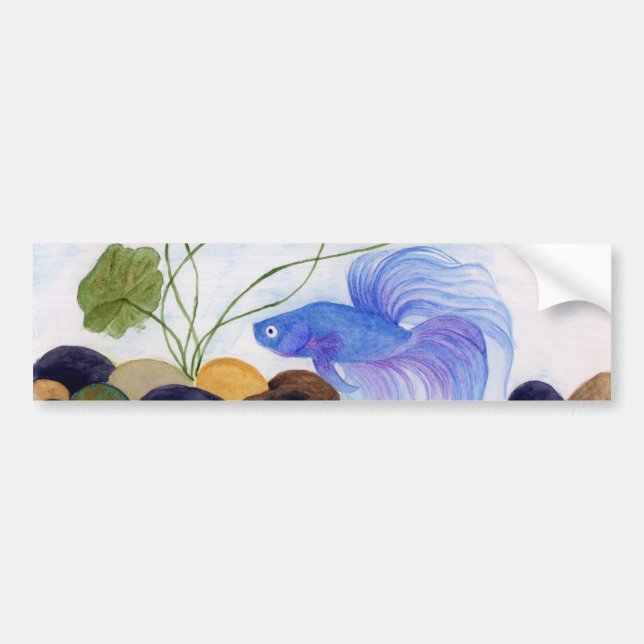 Blue Betta Fish Autoaufkleber (Vorne)