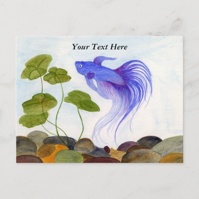 Blue Betta Fish Postcard Postkarte (Vorderseite)