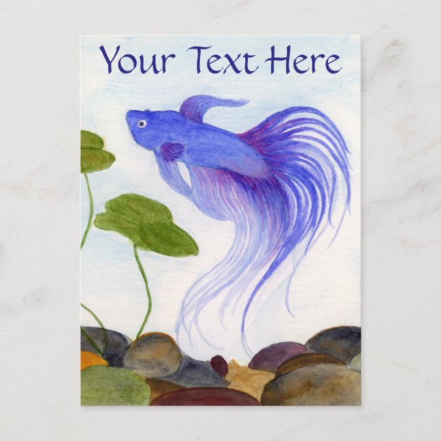 Blue Betta Fish Postkarte (Vorderseite)