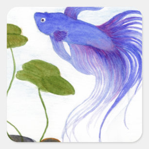 Blue Betta Fish Quadratischer Aufkleber