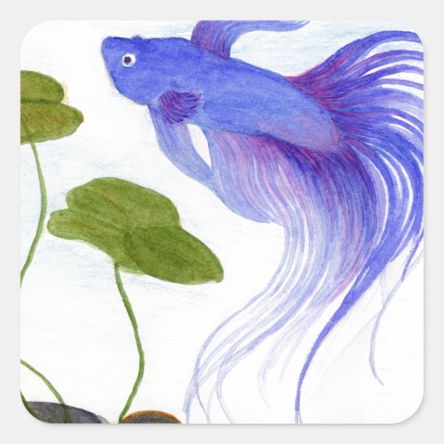 Blue Betta Fish Quadratischer Aufkleber (Vorderseite)