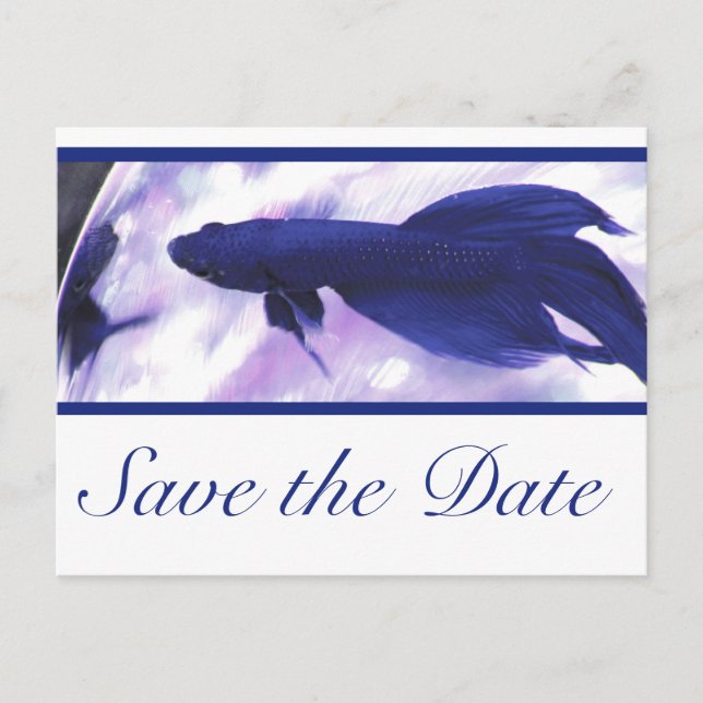 Blue Betta Fish Save the Date Ankündigungspostkarte (Vorderseite)