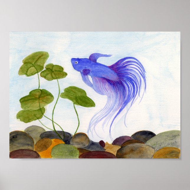 Blue Betta Poster (Vorne)